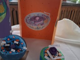 58941198813148879171058205155013674691976803n